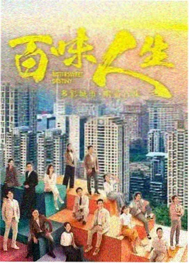 雾港迷案剧集封面